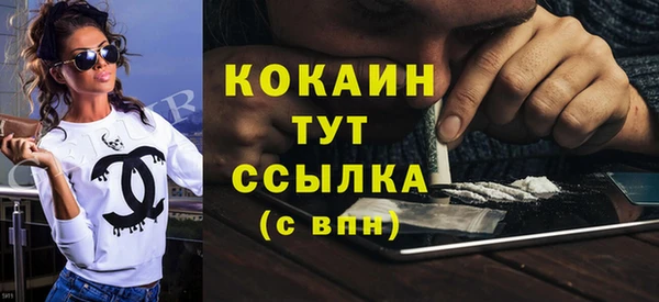 молекула духа Усинск